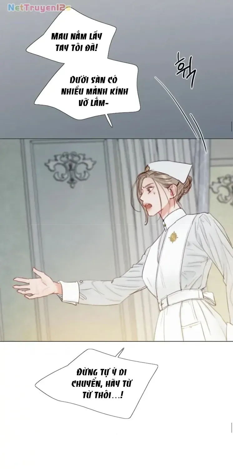 Serena Chapter 132 - AB Truyện