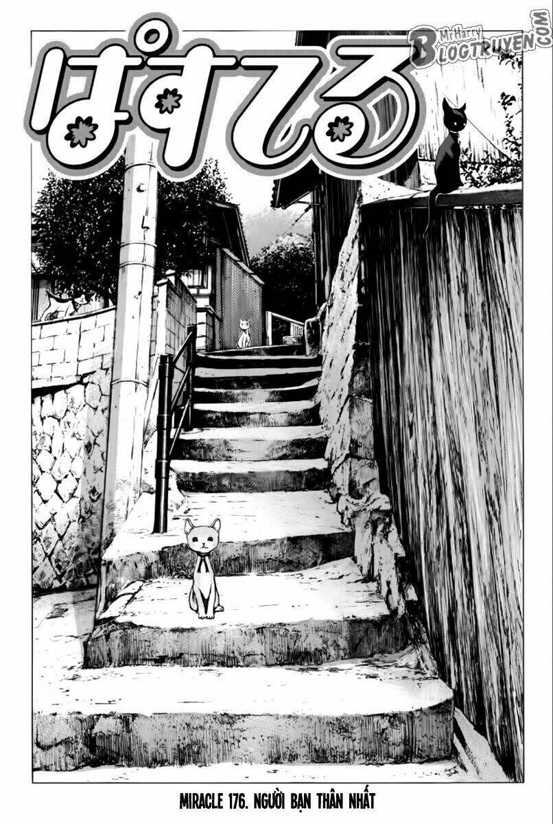 Pastel Chapter 176 - TC Truyện