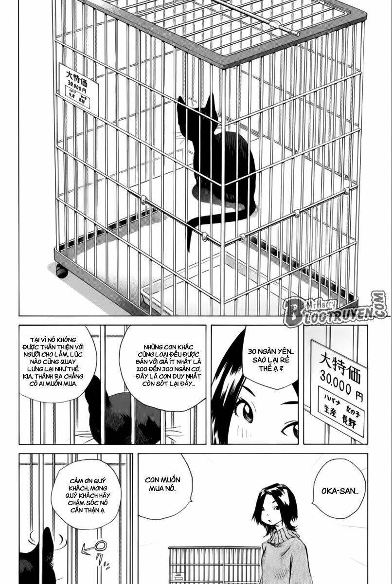Pastel Chapter 176 - TC Truyện